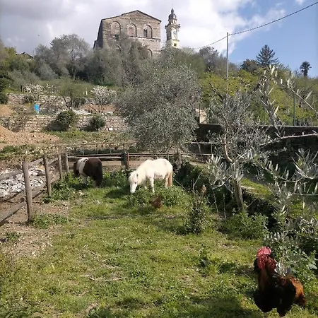 Di Ryu E Mylu