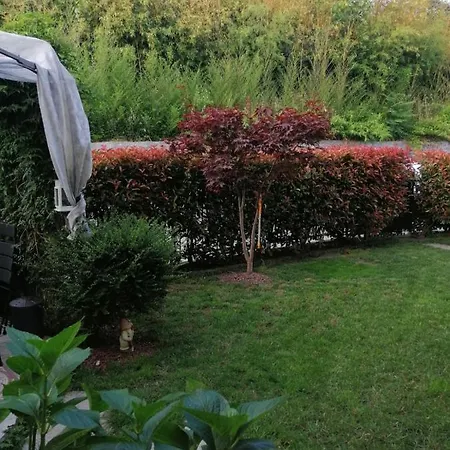 Di Ryu E Mylu